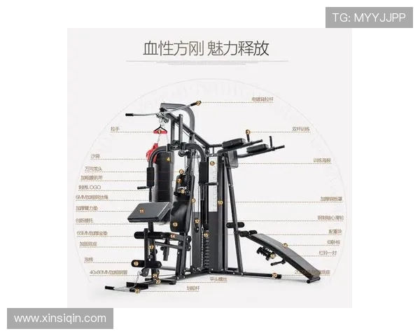 健身器材安装培训内容与合格标准全解析 健身器材安装培训内容与合格标准全解析