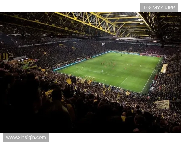 德甲主场球场容纳观众数量及影响因素分析