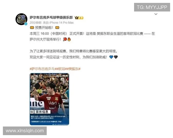 德甲球队的主场文化与球迷情感