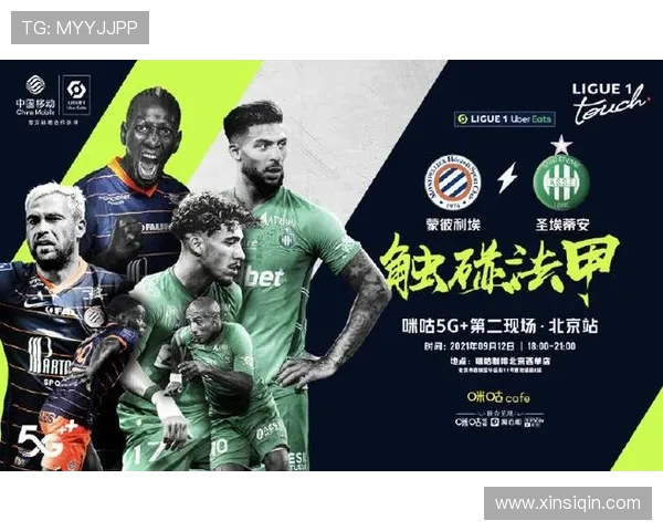 法甲比赛票价对比分析:观赛成本与球迷体验探讨 法甲比赛票价对比分析:观赛成本与球迷体验探讨